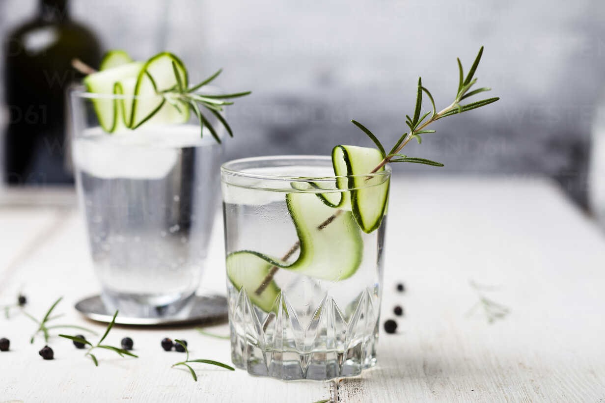 Frustrerend vonnis helemaal Gin mixen | Mixdrankjes maken met Gin is makkelijk en lekker!